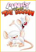 Pinky and the brain