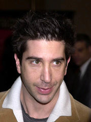 David Schwimmer