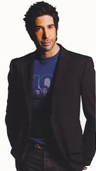 David Schwimmer