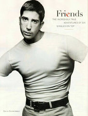 David Schwimmer