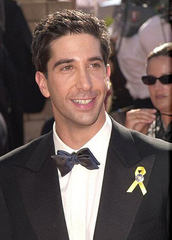 David Schwimmer