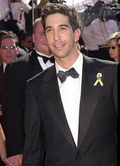 David Schwimmer