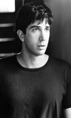 David Schwimmer